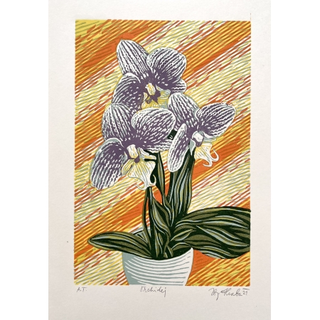 Orchidej