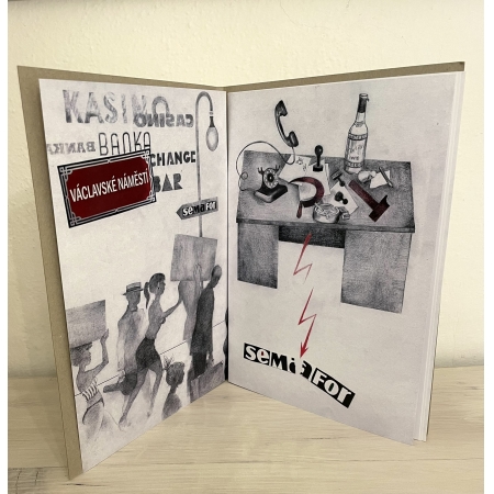 Ilustrovaná historie pohrom